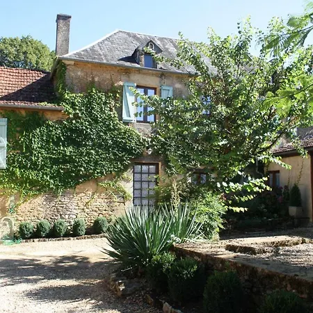 La Vieille Ferme: Superbe Complexe De 3 En Pierre Avec Piscine Au Coeur Du Perigord Noir 펜션 *
