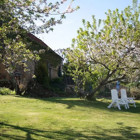 La Vieille Ferme: Superbe Complexe De 3 En Pierre Avec Piscine Au Coeur Du Perigord Noir