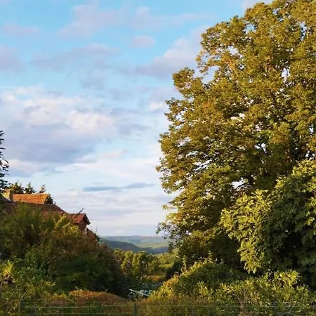 La Vieille Ferme: Superbe Complexe De 3 En Pierre Avec Piscine Au Coeur Du Perigord Noir 펜션