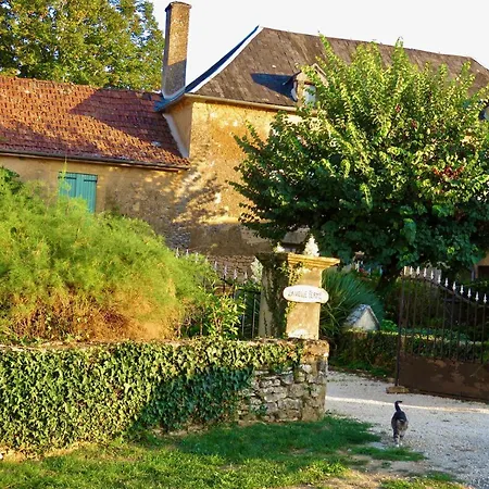 La Vieille Ferme: Superbe Complexe De 3 En Pierre Avec Piscine Au Coeur Du Perigord Noir 펜션 *