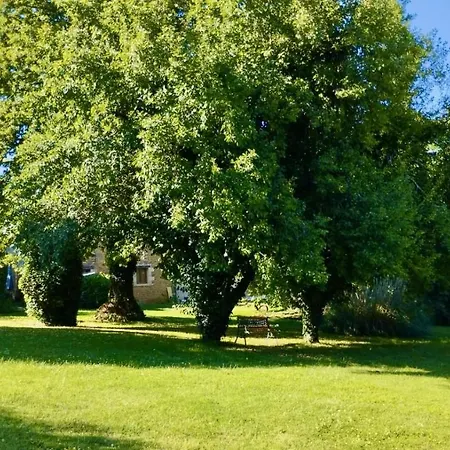 La Vieille Ferme: Superbe Complexe De 3 En Pierre Avec Piscine Au Coeur Du Perigord Noir *